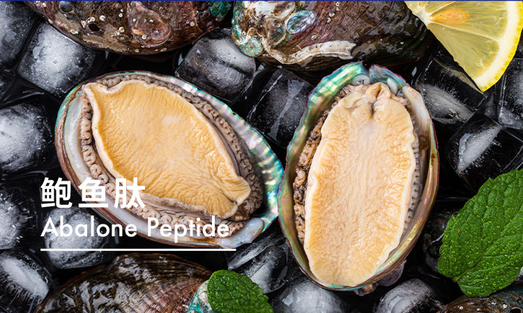 鲍鱼肽