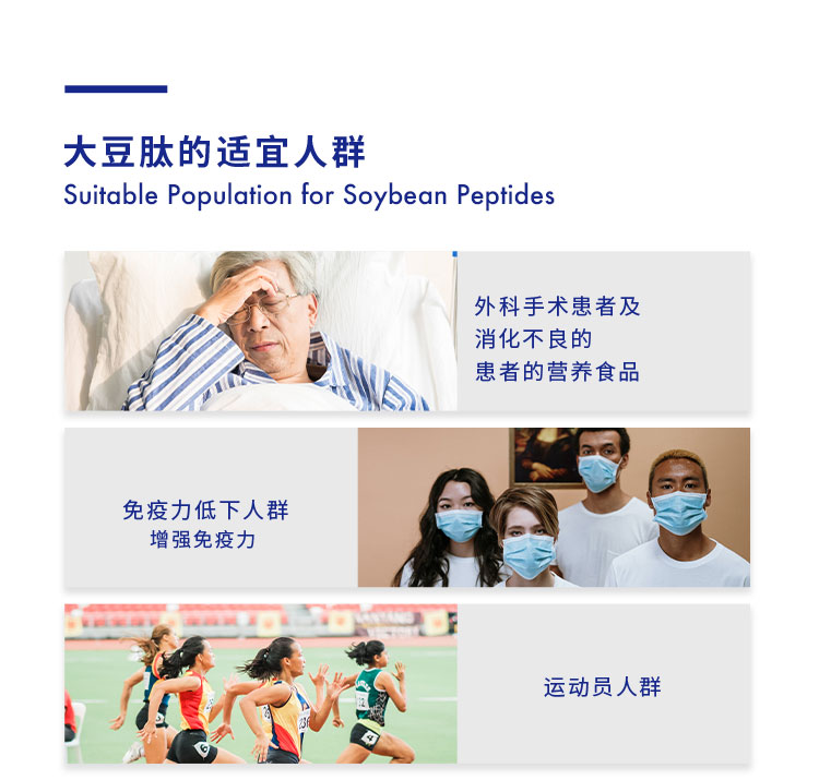 大豆肽