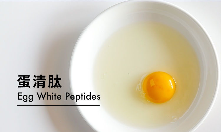 蛋清肽