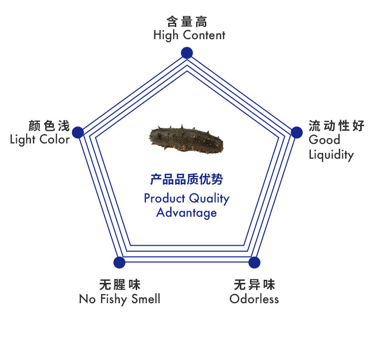 海参肽