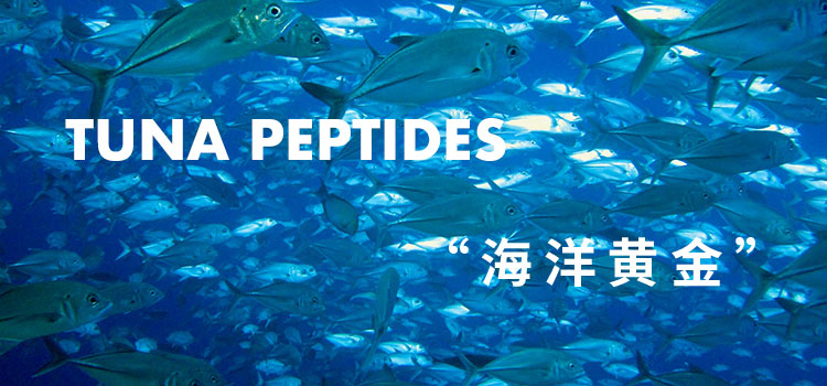 金枪鱼肽