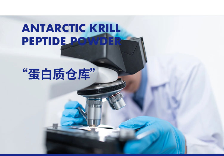南极磷虾肽