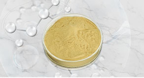 壳寡糖系列产品