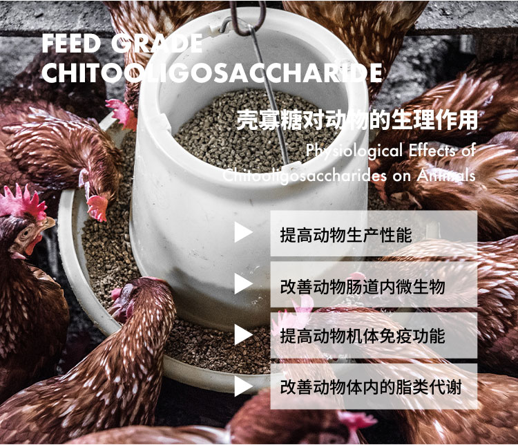 饲料级壳寡糖