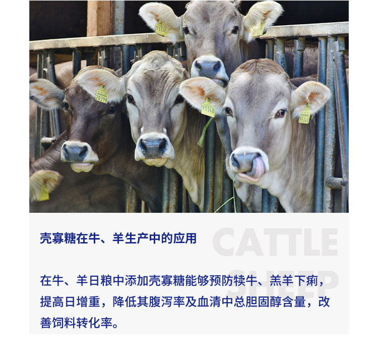饲料级壳寡糖