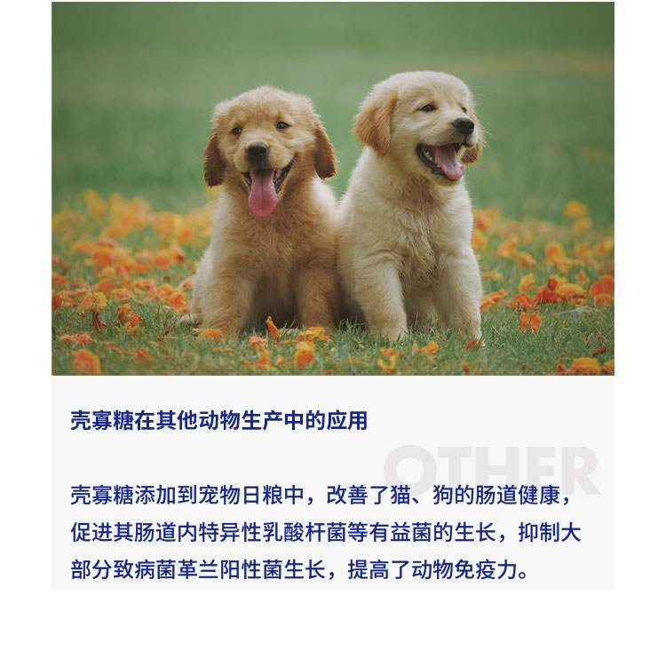 饲料级壳寡糖