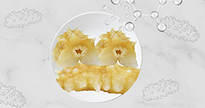 小分子肽系列产品