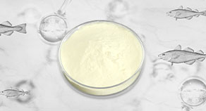 小分子肽系列产品