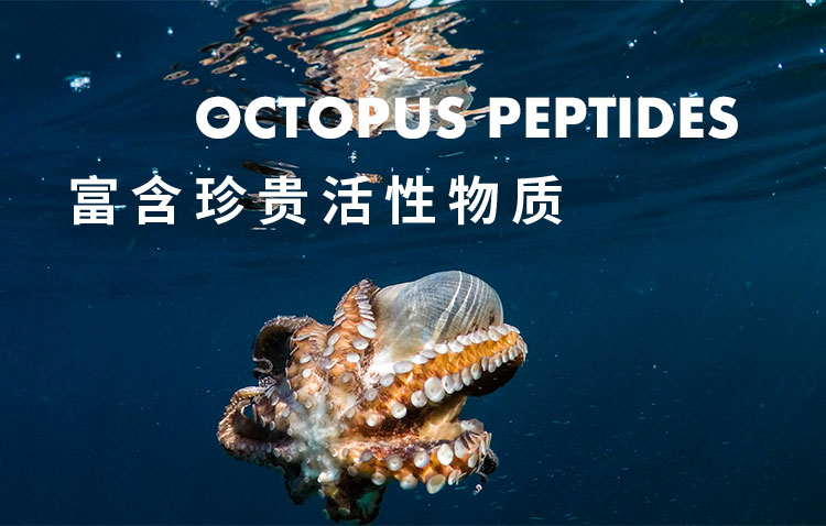章鱼肽