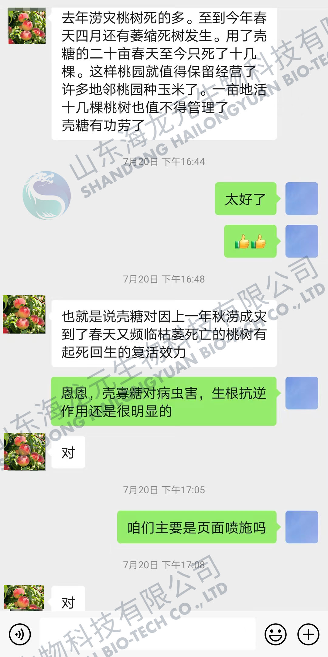 海龙元桃树微信截图.jpg