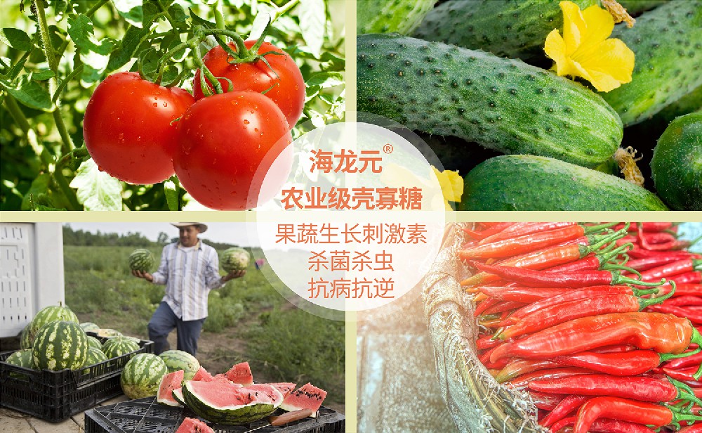 植物界的“藿香正气水”，有“万能农药”之称的农业壳寡糖，你了解吗？
