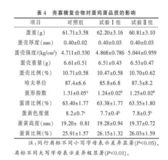 蛋鸡3.jpg
