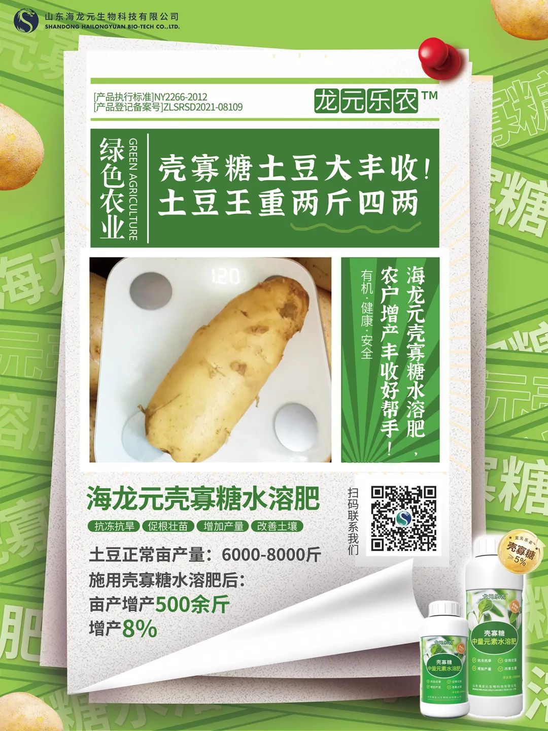 土豆.jpg