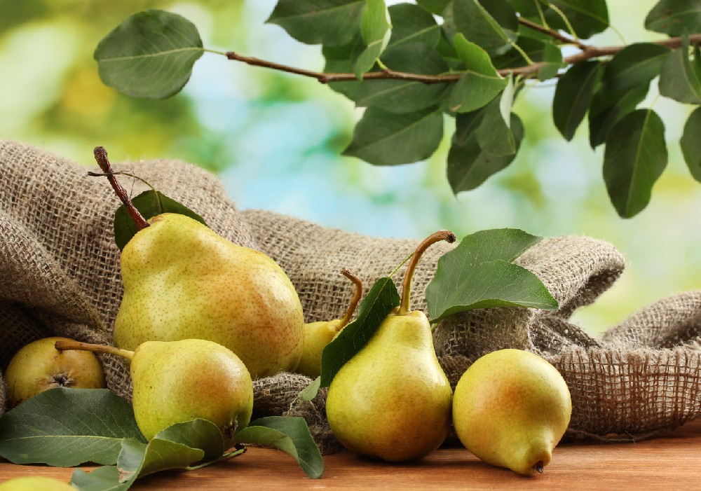 农业级壳寡糖，在梨生产和贮藏中的作用