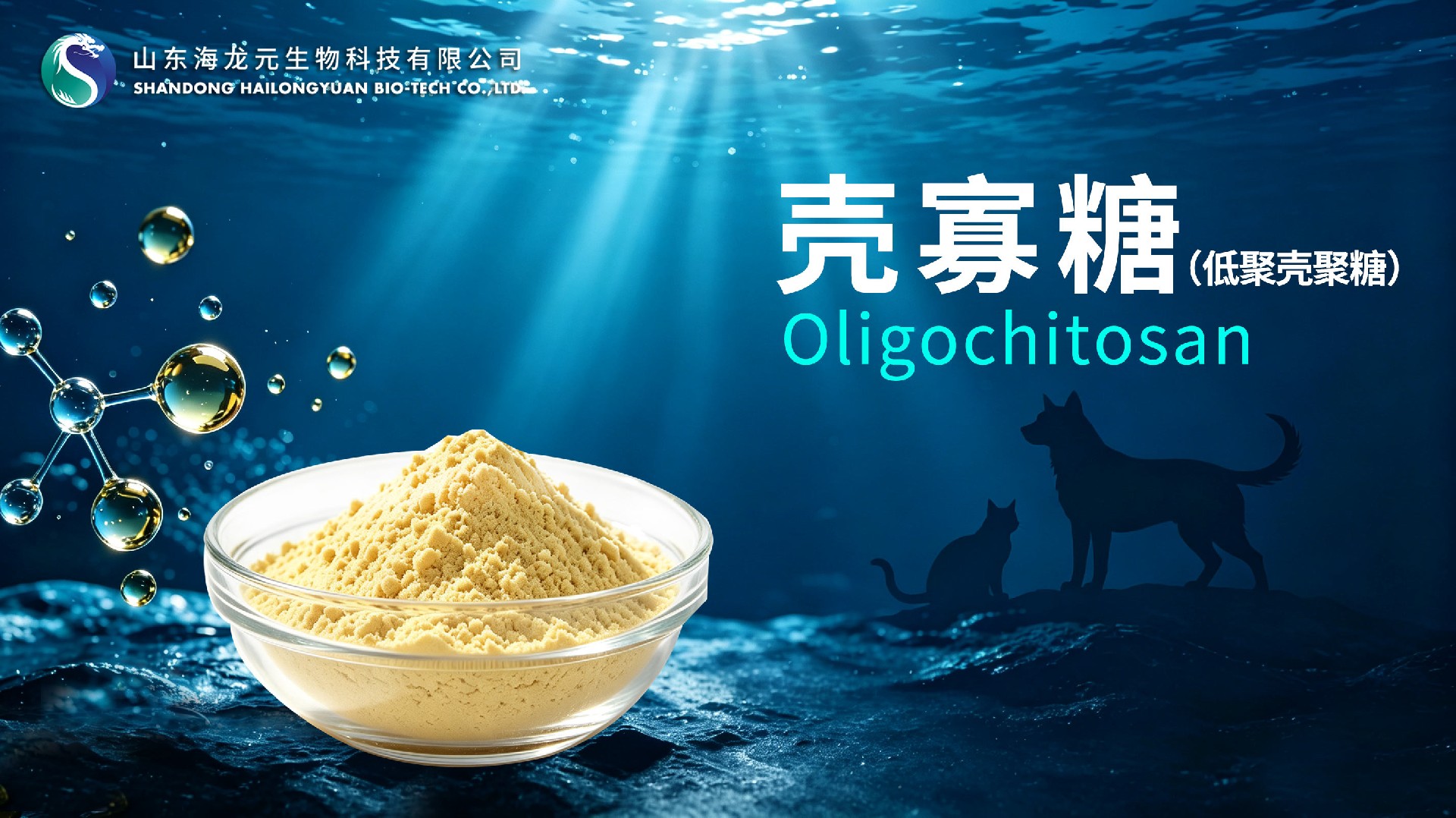 壳寡糖（低聚壳聚糖）：呵护宠物健康