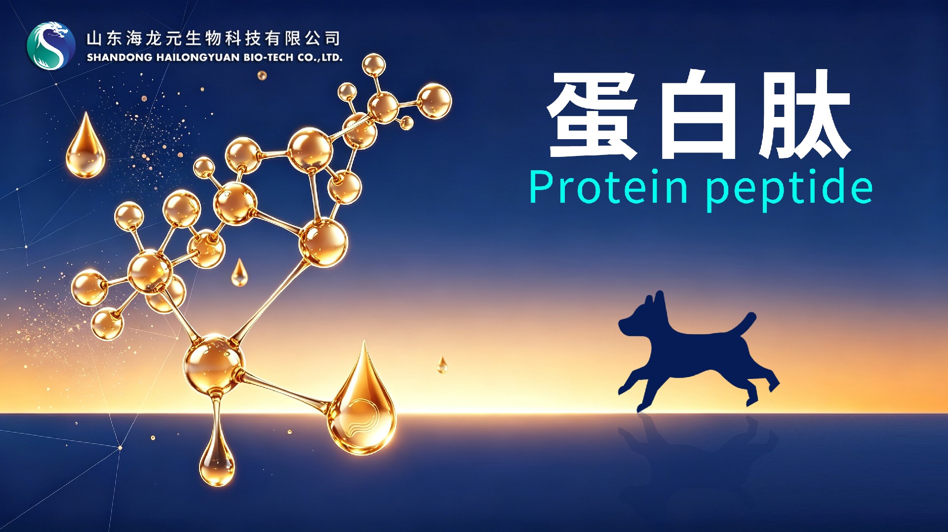 蛋白质水解物（蛋白肽）在宠物食品中的应用及研究进展