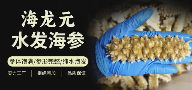 中秋佳节 | 南太平洋黄金刺参：以海参营养，敬长辈安康