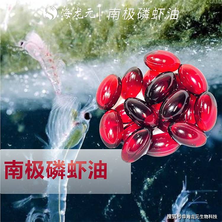 南极磷虾油胜过鱼油？南极磷虾油与鱼油有什么区别？