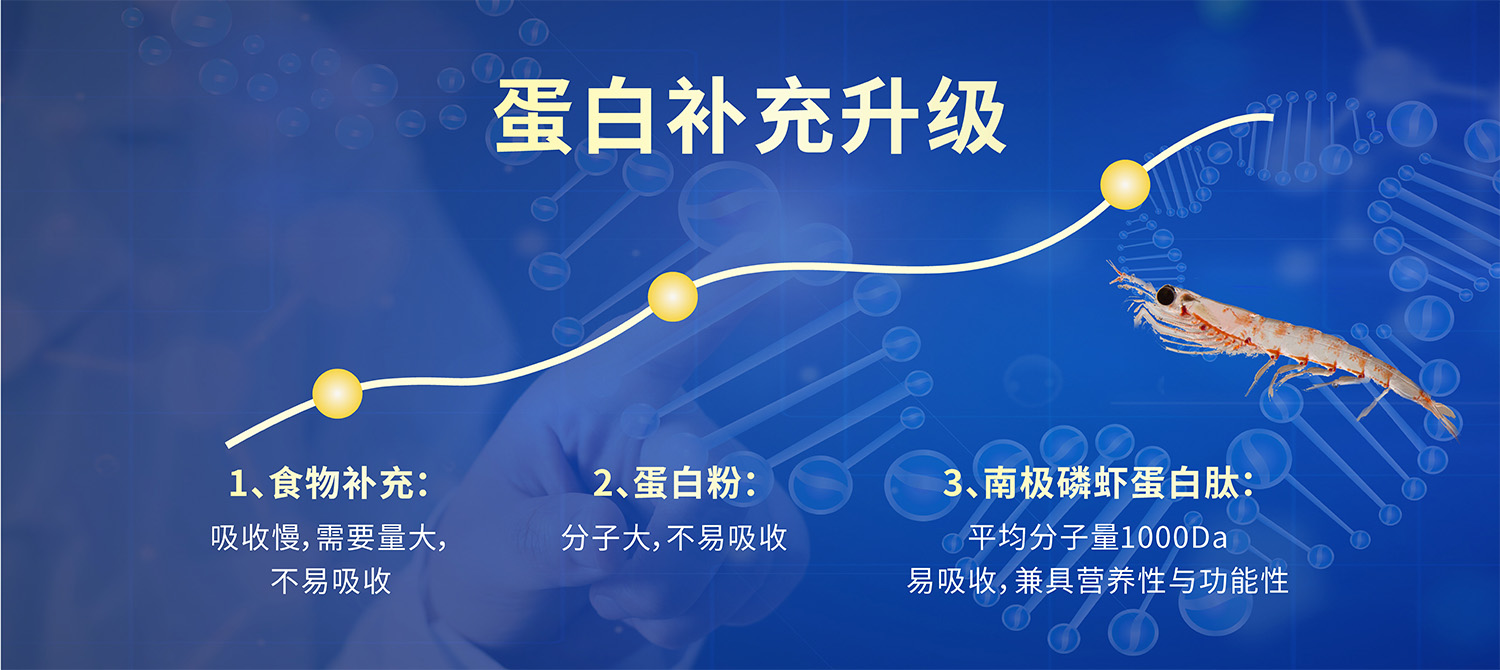 南极磷虾肽为何被称为"全营养肽"?